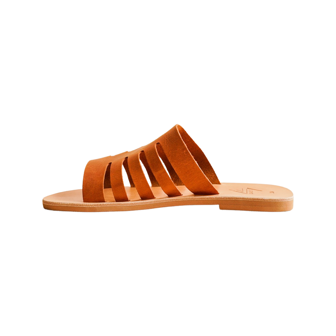 Delta - Caramella Brown